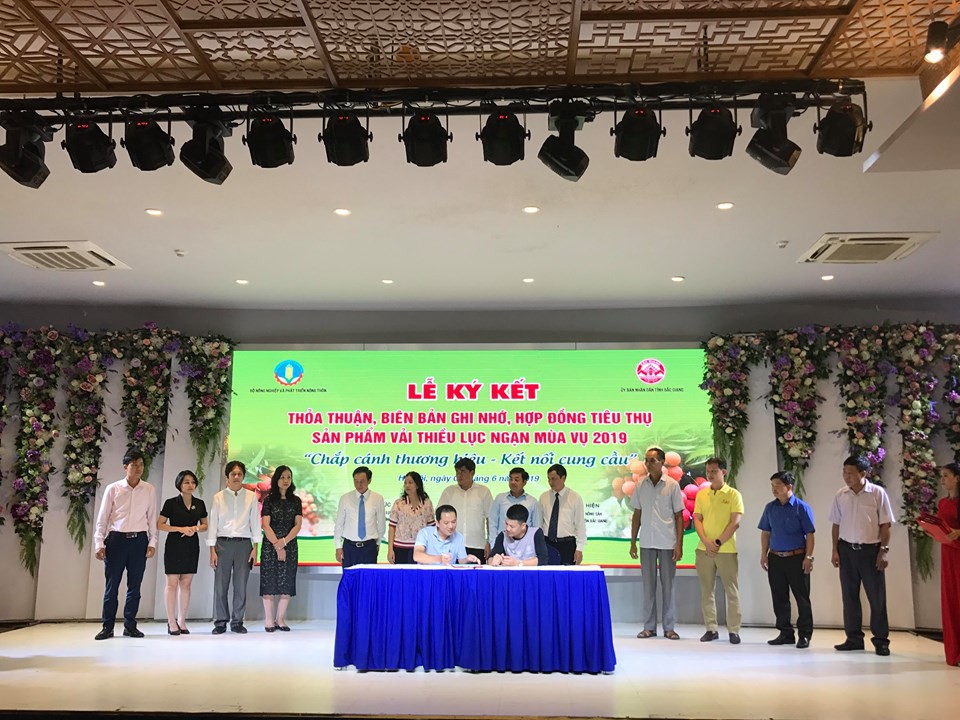 Vải thiều mất mùa giá cao gấp 3-4 lần - Ảnh 3. Vải thiều mất mùa giá cao gấp 3-4 lần - Ảnh 3.
