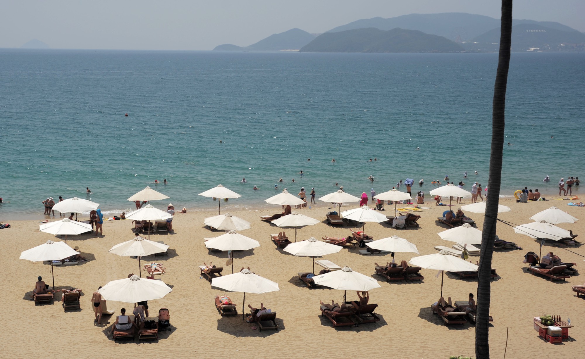 Dù, ghế phủ kín 15.000 mét vuông bãi biển Nha Trang - Ảnh 9. Dù, ghế phủ kín 15.000 mét vuông bãi biển Nha Trang - Ảnh 9.