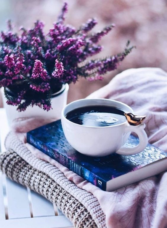 Phong thủy hàng ngày (8/6/2019) của 12 con giáp: Tuổi Hợi giàu vì bạn - Ảnh 1.