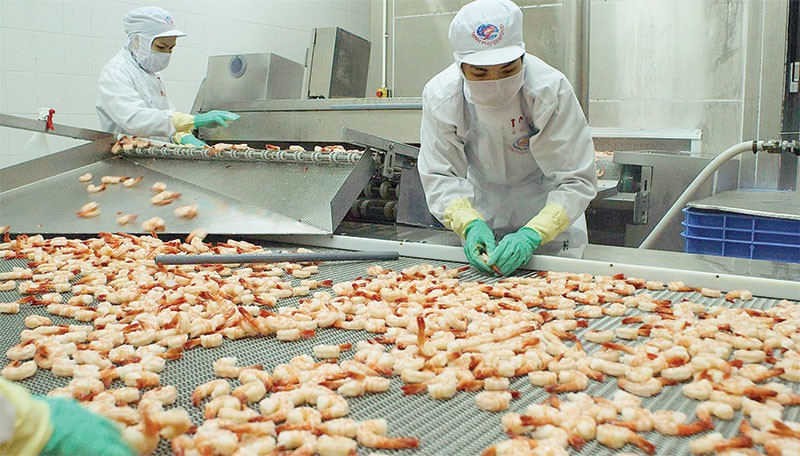 Bị nghi né thuế chống bán phá giá của Mỹ, ‘vua tôm’ Minh Phú nói gì? - Ảnh 1. Bị nghi né thuế chống bán phá giá của Mỹ, ‘vua tôm’ Minh Phú nói gì? - Ảnh 1.