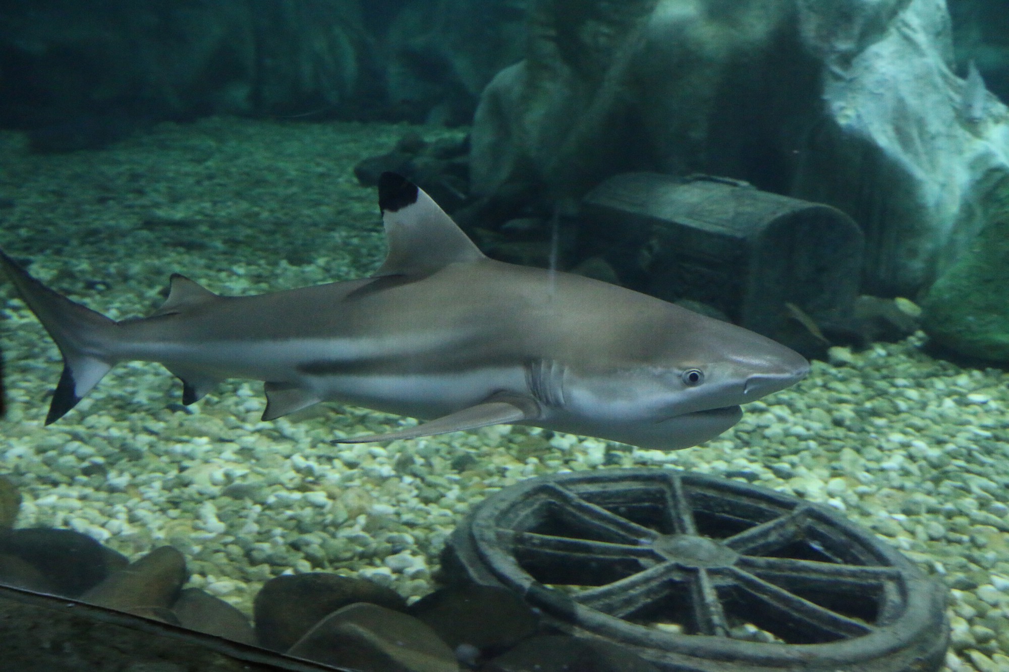 IMG_0122 IMG_0122