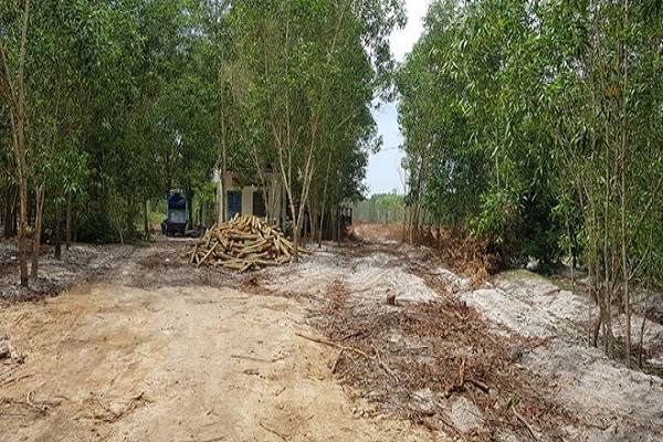 khu-at-hoang