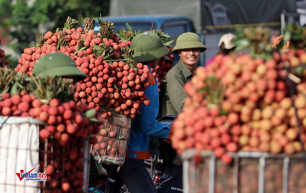 Chạy 'tuyến cao tốc' đến châu Âu, lo thổi phạt thẻ vàng thẻ đỏ - Ảnh 2. Chạy 'tuyến cao tốc' đến châu Âu, lo thổi phạt thẻ vàng thẻ đỏ - Ảnh 2.