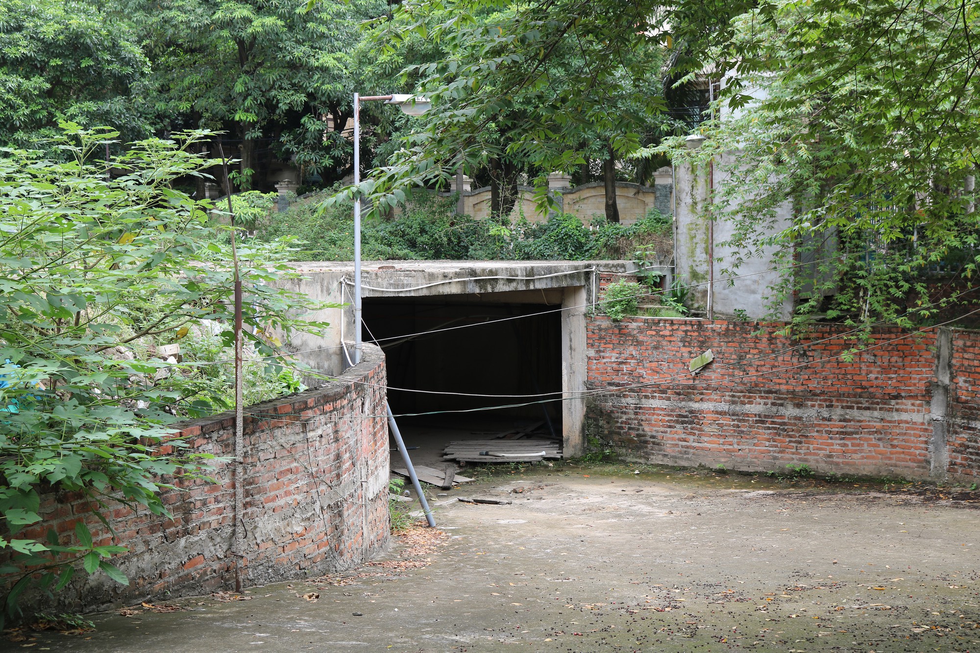 IMG_8483 IMG_8483