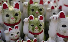 Bí mật tượng mèo may mắn bên trong ngôi đền ở Tokyo