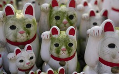 Bí mật tượng mèo may mắn bên trong ngôi đền ở Tokyo