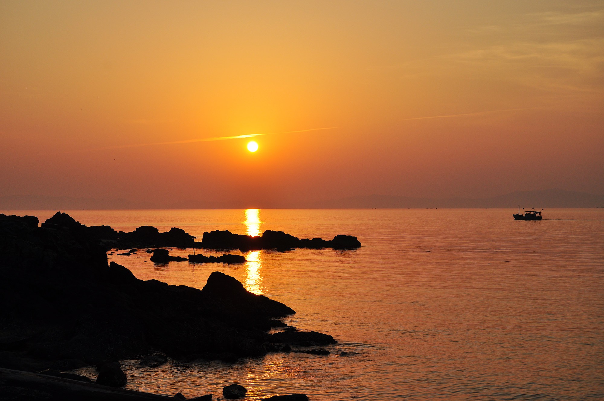 DSC_0186 DSC_0186