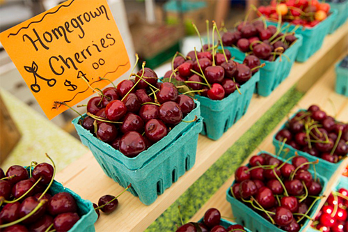 Cherry Mỹ ồ ạt về Việt Nam với giá rẻ - Ảnh 1.
