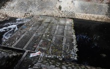 Cá chết ở sông Tô Lịch sau khi xả nước hồ Tây: Đơn vị thí điểm công nghệ Nhật Bản lên tiếng