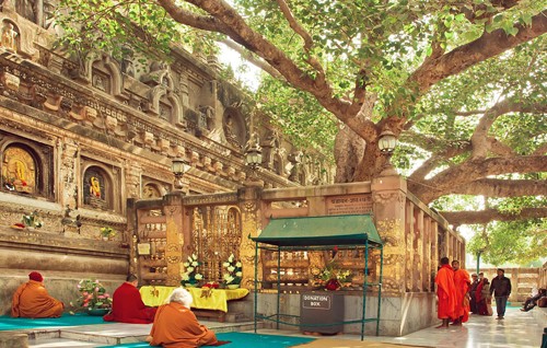 bodh-gaya-bodhi-tree-148394130-7400-8459-1557725258_r_460x0 bodh-gaya-bodhi-tree-148394130-7400-8459-1557725258_r_460x0