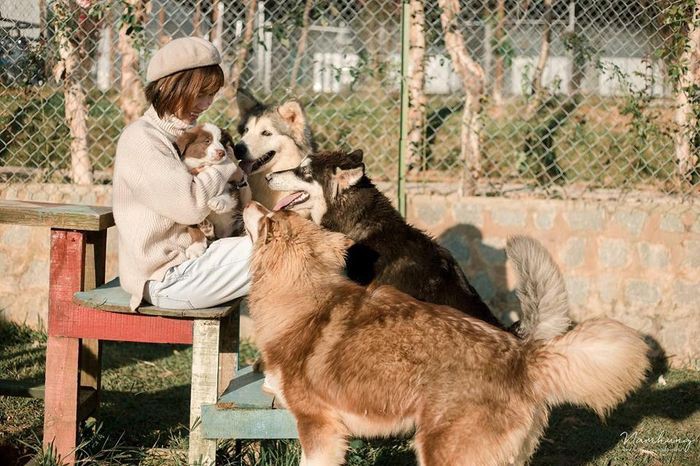 Trải nghiệm hành trình du lịch Đà Lạt 3 ngày 2 đêm tiết kiệm và hấp dẫn - Ảnh 3. Trải nghiệm hành trình du lịch Đà Lạt 3 ngày 2 đêm tiết kiệm và hấp dẫn - Ảnh 3.