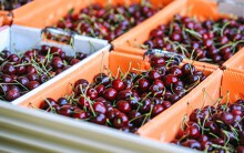 Cherry, việt quất Mỹ đang bán giá rẻ ở siêu thị, cửa hàng trái cây TP HCM