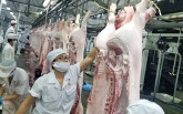 Doanh nghiệp chăn nuôi lớn đồng loạt giảm giá heo hơi còn 70.000 đồng/kg đúng cam kết