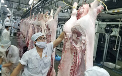 Doanh nghiệp chăn nuôi lớn đồng loạt giảm giá heo hơi còn 70.000 đồng/kg đúng cam kết
