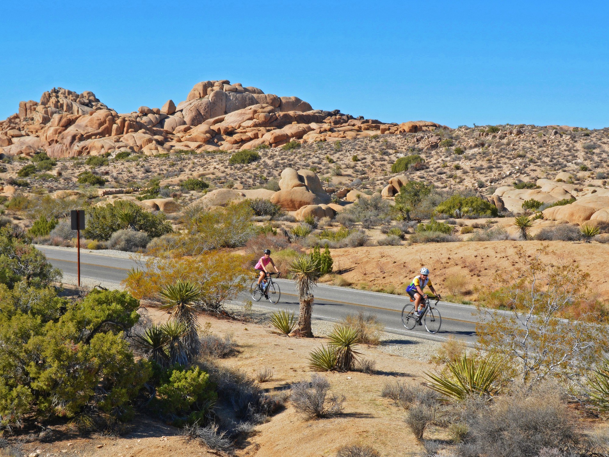 bike-tours-joshua-tree-cr-courtesy bike-tours-joshua-tree-cr-courtesy