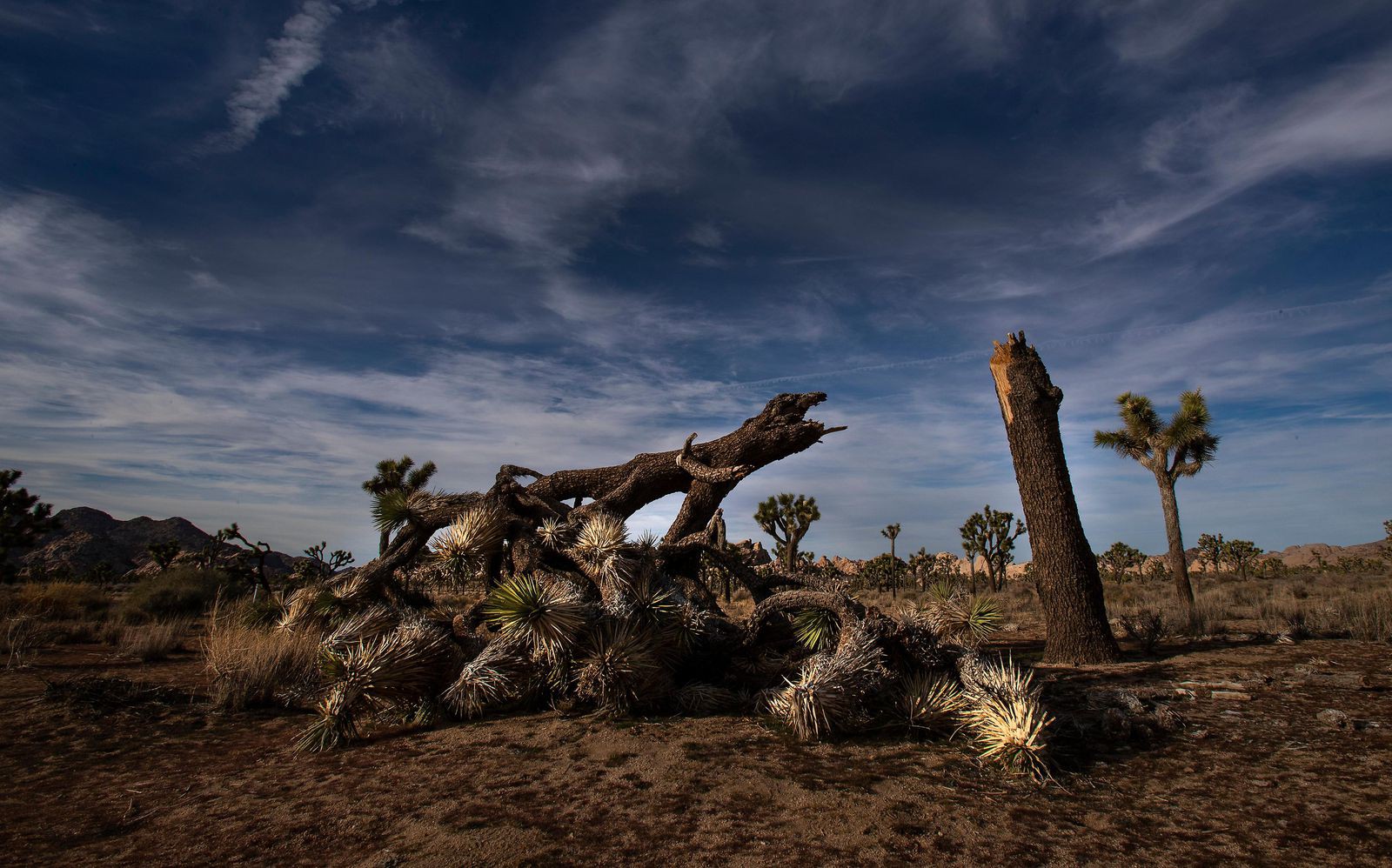 gettyimages-1081008998 gettyimages-1081008998