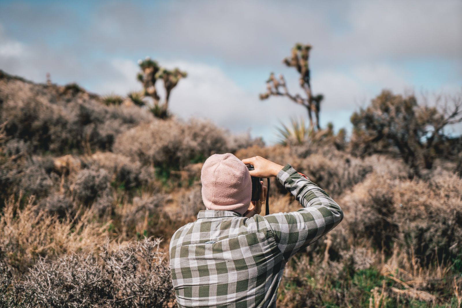joshua-tree-photography joshua-tree-photography