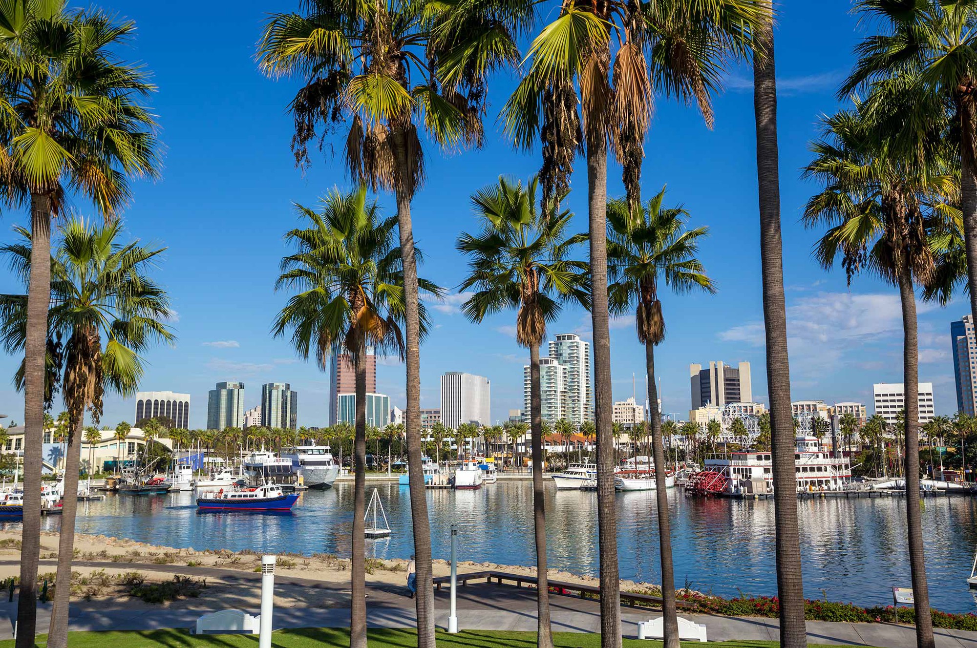 know-before-you-go-about-long-beach know-before-you-go-about-long-beach