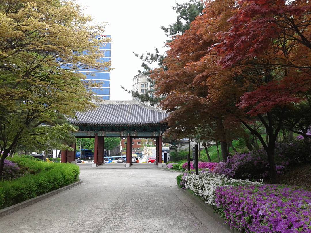 Lạc lối ở Seoul với những cung điện thường thấy trong các bộ phim cổ trang Hàn Quốc - Ảnh 19. Lạc lối ở Seoul với những cung điện thường thấy trong các bộ phim cổ trang Hàn Quốc - Ảnh 19.
