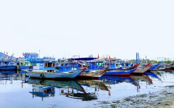 Đà Nẵng bổ sung qui hoạch nghề cá vào điều chỉnh tổng thể đô thị đến năm 2030
