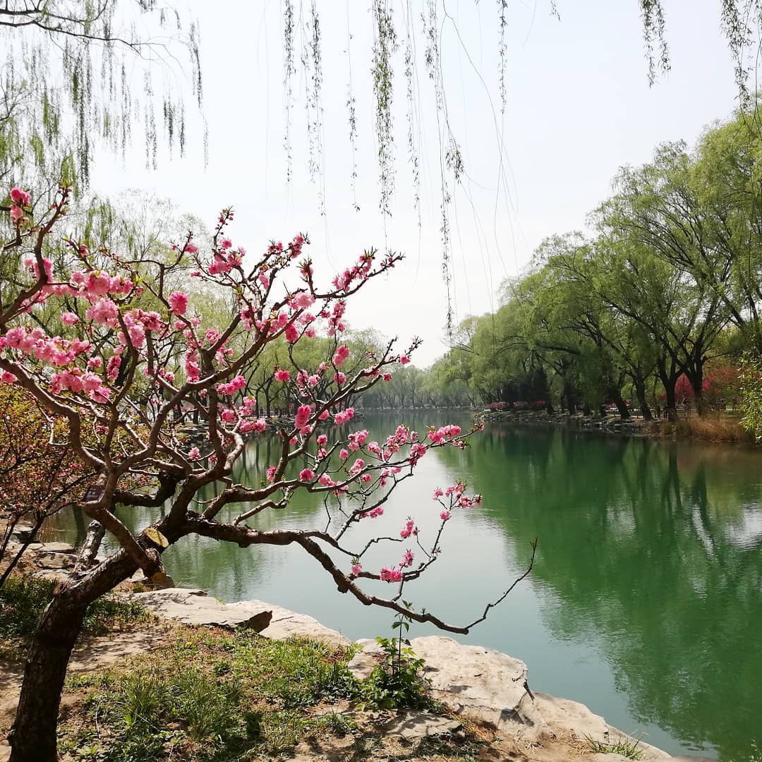 Những kinh nghiệm du lịch Trung Quốc dành cho người mới đi lần đầu - Ảnh 1. Những kinh nghiệm du lịch Trung Quốc dành cho người mới đi lần đầu - Ảnh 1.