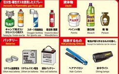 Ngoài trứng và nem chua, Nhật Bản còn cấm du khách mang gì khi nhập cảnh?