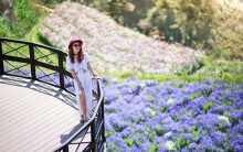 Tour du lịch TP HCM – Đà Lạt 3 ngày 2 đêm: Chỉ hơn 1 triệu đồng, tha hồ thưởng thức cảnh đẹp, đồ ăn ngon