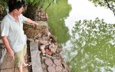 Bờ hồ Gươm nham nhở vì sạt lở kè