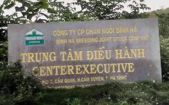 Công ty chăn nuôi liên quan ông Trần Bắc Hà gửi văn bản 'cầu cứu'