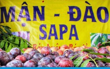 Rau củ quả, nước mắm cũng giả mạo 'made in Vietnam'