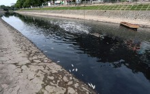 Cần 2.000 tỉ đồng và 1 năm để sông Tô Lịch trong xanh?