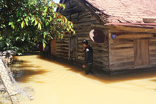 Hàng trăm căn nhà ở Lâm Đồng chìm trong nước sau mưa lớn - Ảnh 1. Hàng trăm căn nhà ở Lâm Đồng chìm trong nước sau mưa lớn - Ảnh 1.