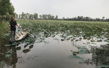 Sông Mê Kông 'trơ đáy', ĐBSCL lo hạn mặn khốc liệt: Sống chung với 'nước kém'
