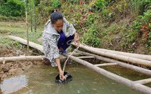 Hàng nghìn người dân miền Trung vật lộn vì thiếu nước trong nắng hạn