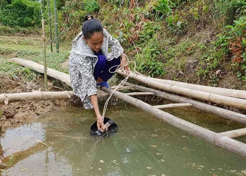 Hàng nghìn người dân miền Trung vật lộn vì thiếu nước trong nắng hạn - Ảnh 1.