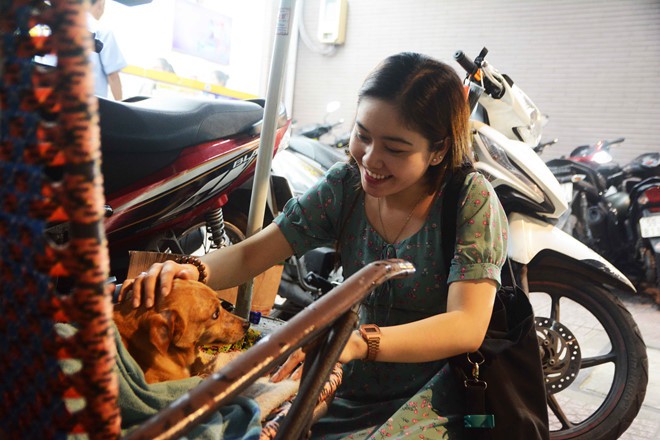 Ông bảo vệ và chú chó 'đốn tim' dân mạng: Phát hiện trộm khi chủ ngủ quên - Ảnh 4. Ông bảo vệ và chú chó 'đốn tim' dân mạng: Phát hiện trộm khi chủ ngủ quên - Ảnh 4.