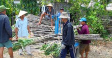 Ngành mía đường tụt dốc