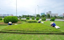 Dự kiến chi hơn 138 tỉ đồng duy trì cây cỏ ở Hà Nội năm 2019