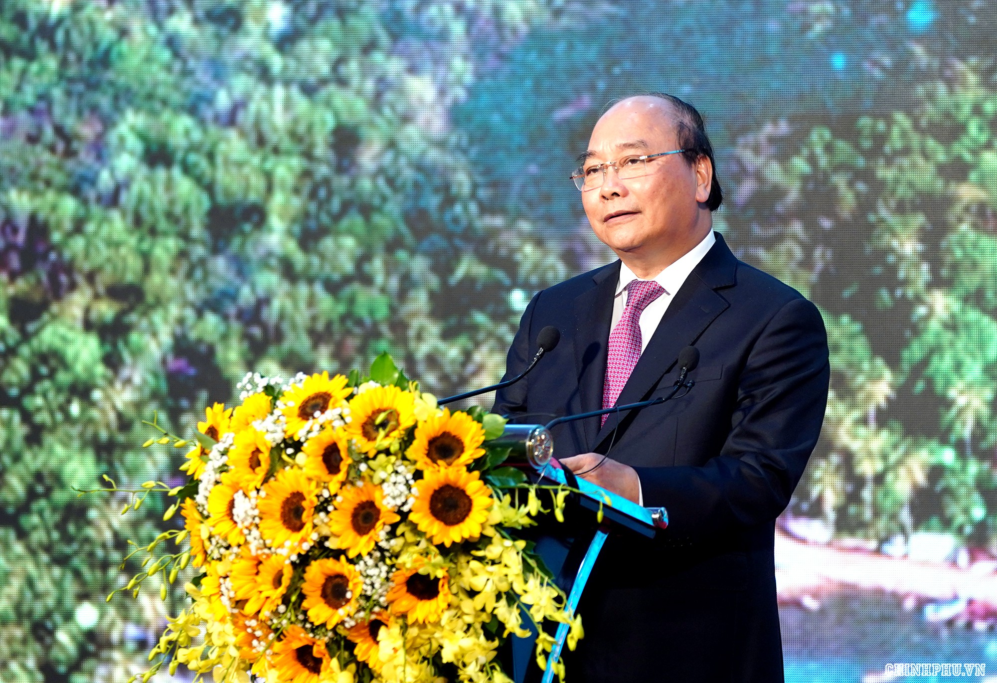 NQH08914 thủ tướng
