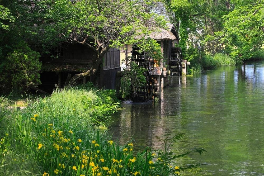 Sống đời thoát tục giữa vùng đất đẹp tựa tiên cảnh ở Nhật Bản - Ảnh 4. Sống đời thoát tục giữa vùng đất đẹp tựa tiên cảnh ở Nhật Bản - Ảnh 4.