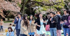 8 công ty du lịch Việt Nam bị Nhật Bản hủy bỏ, đình chỉ tư cách xin visa