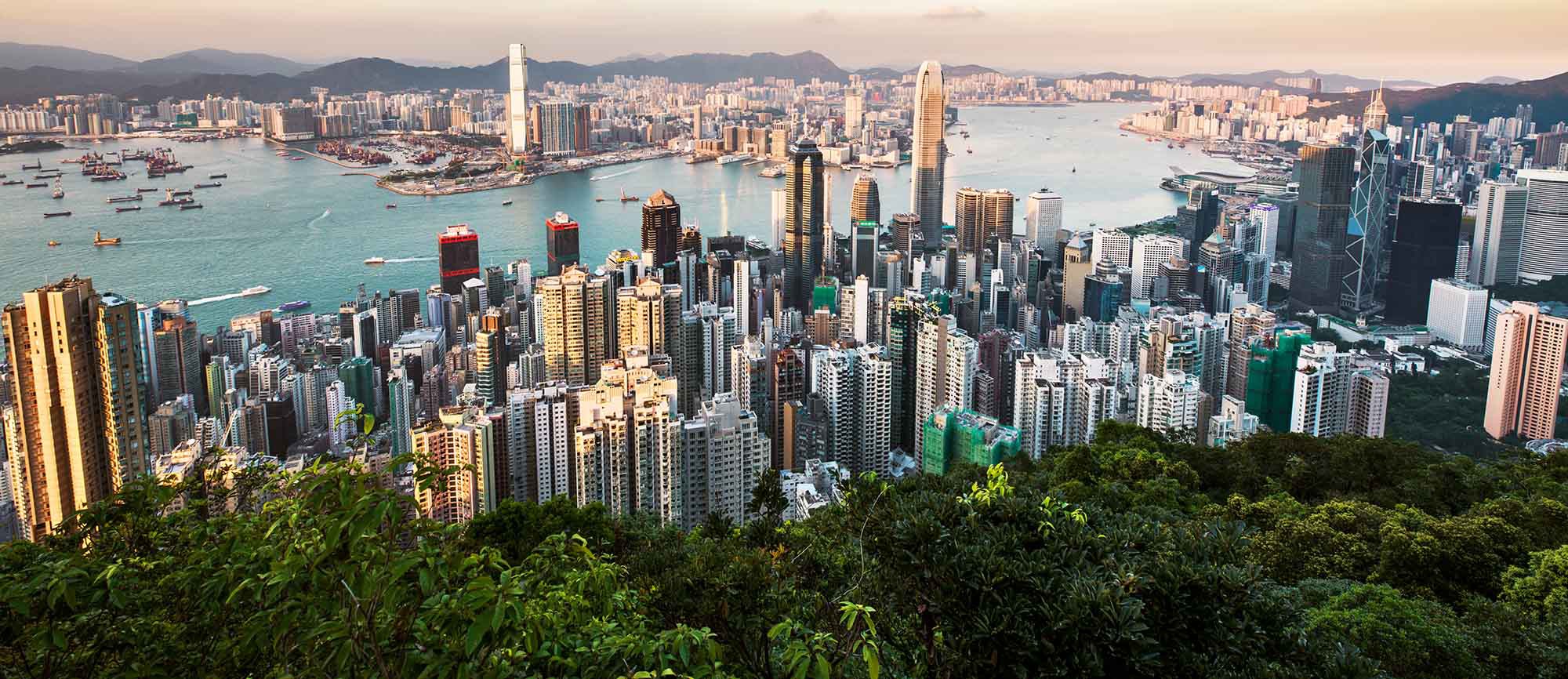 Hong_Kong_thin Hong_Kong_thin