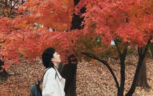 Kinh nghiệm xin visa du lịch Hàn Quốc đến Seoul và Busan chỉ với 20 triệu đồng