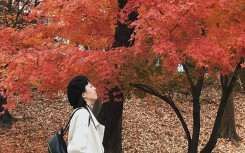 Kinh nghiệm xin visa du lịch Hàn Quốc đến Seoul và Busan chỉ với 20 triệu đồng