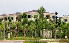 Lượng cầu trên thị trường BĐS ở Hà Nội và TP HCM vẫn còn rất lớn