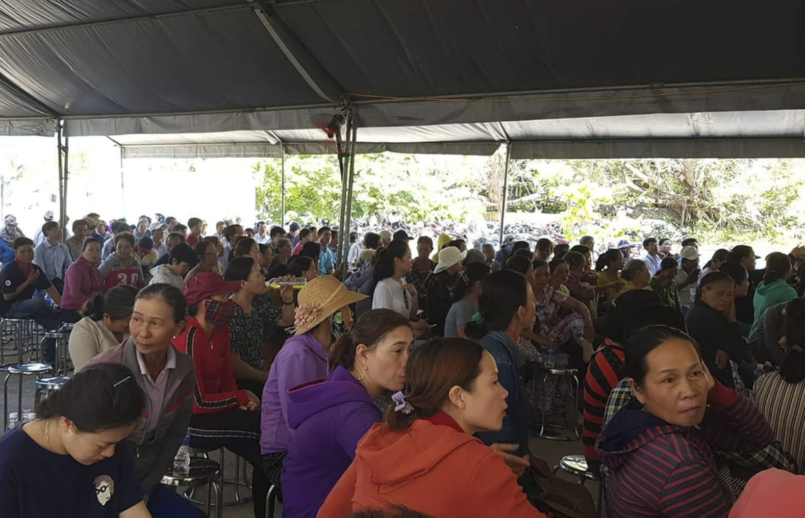 Bai rac khanh son