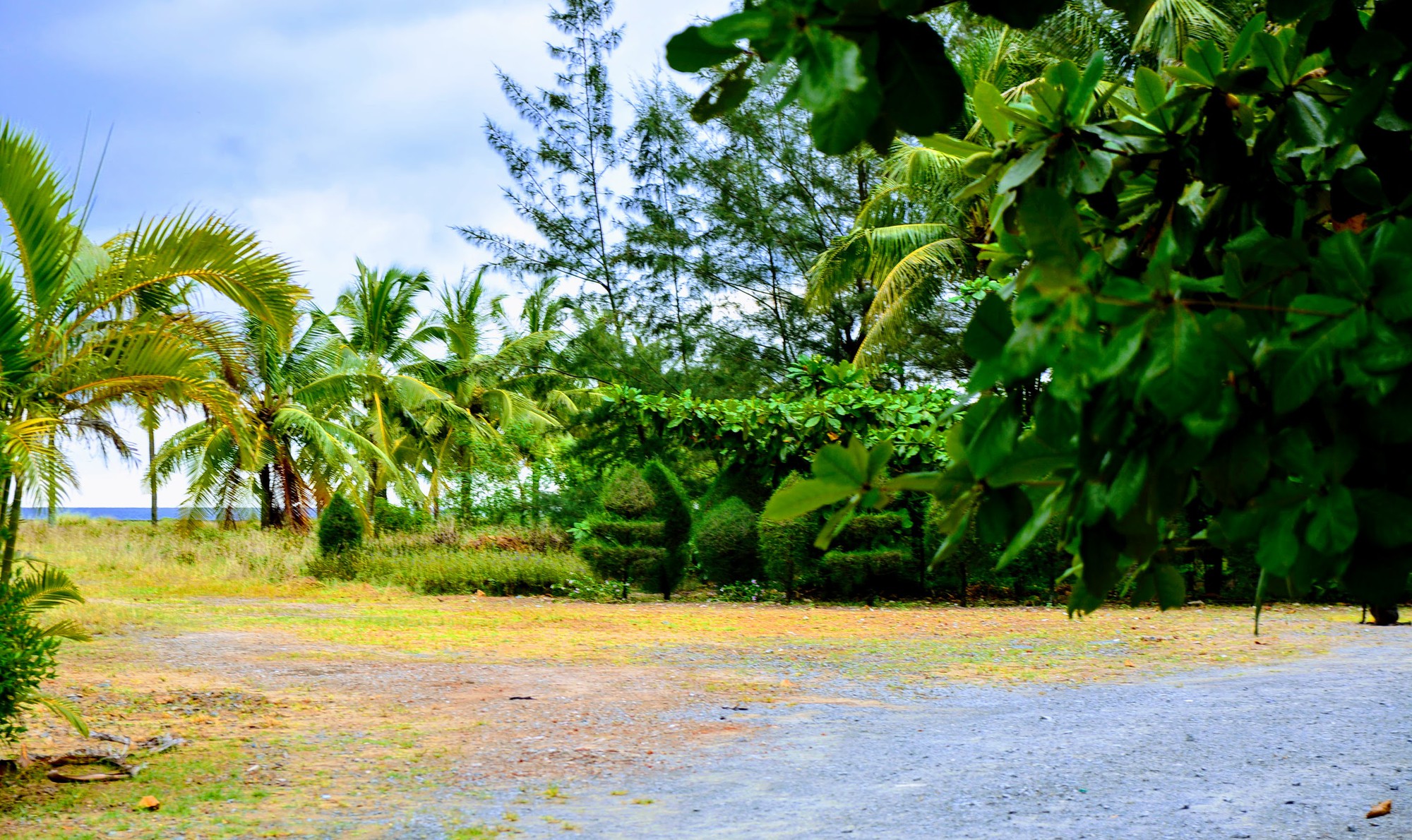 DSC_1071 DSC_1071