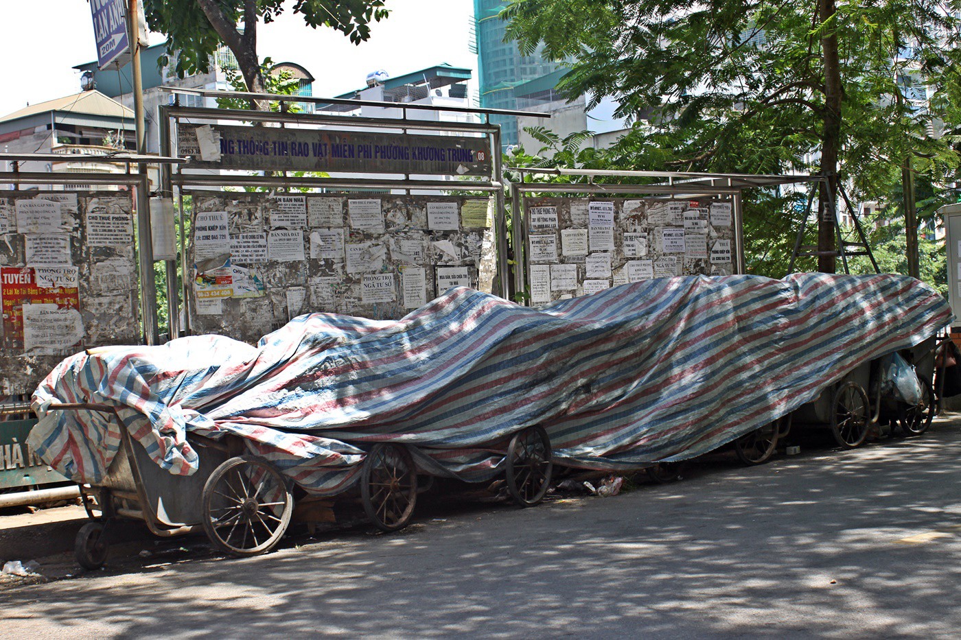 IMG_3638 IMG_3638