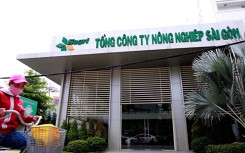 SAGRI nơi ông Lê Tấn Hùng từng làm Tổng Giám đốc đã 'bán' bao nhiêu dự án giá bèo, chi khống tiền đi nước ngoài?