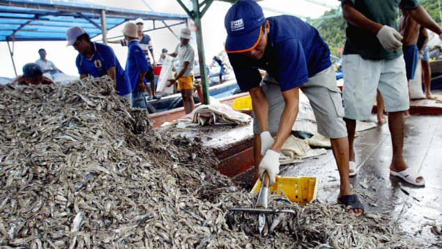 Báo Mỹ viết về đảo Phú Quốc - 'viên ngọc quý' của Việt Nam - Ảnh 6.